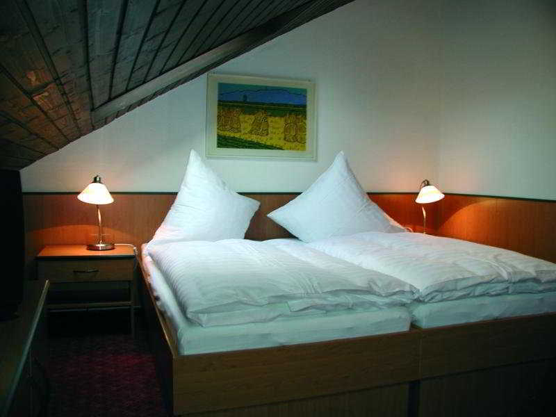 Hotel Traube Offenburg Buitenkant foto